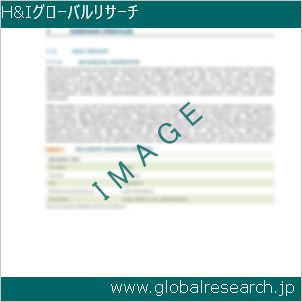 グローバルリサーチ調査レポートのイメージ